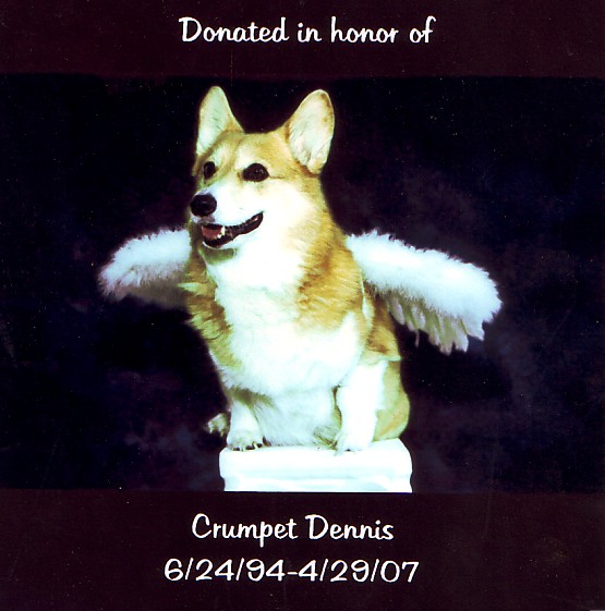 Crumpet.jpg