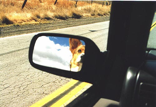 ElliottInTheMirror.jpg