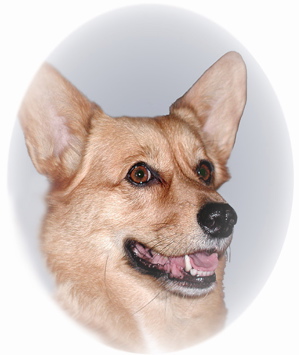 Gez.jpg