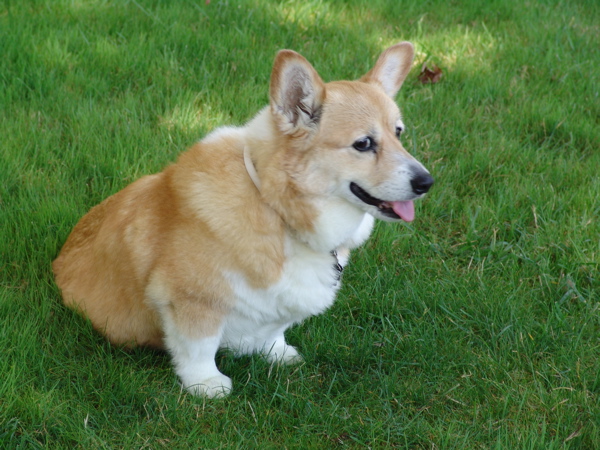 Meggie_at_Lake_C.jpg