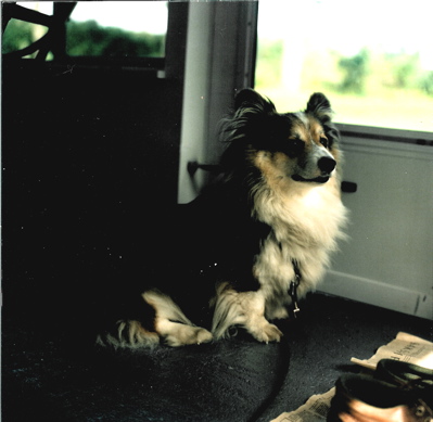 Steffi.jpg