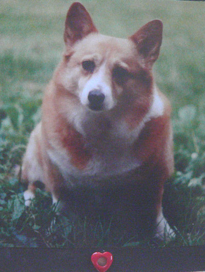 meggie.jpg