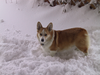 101-0196_IMG.png