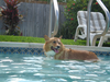 Corky_Sept_2_2008a.png