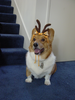 DSC00807.png